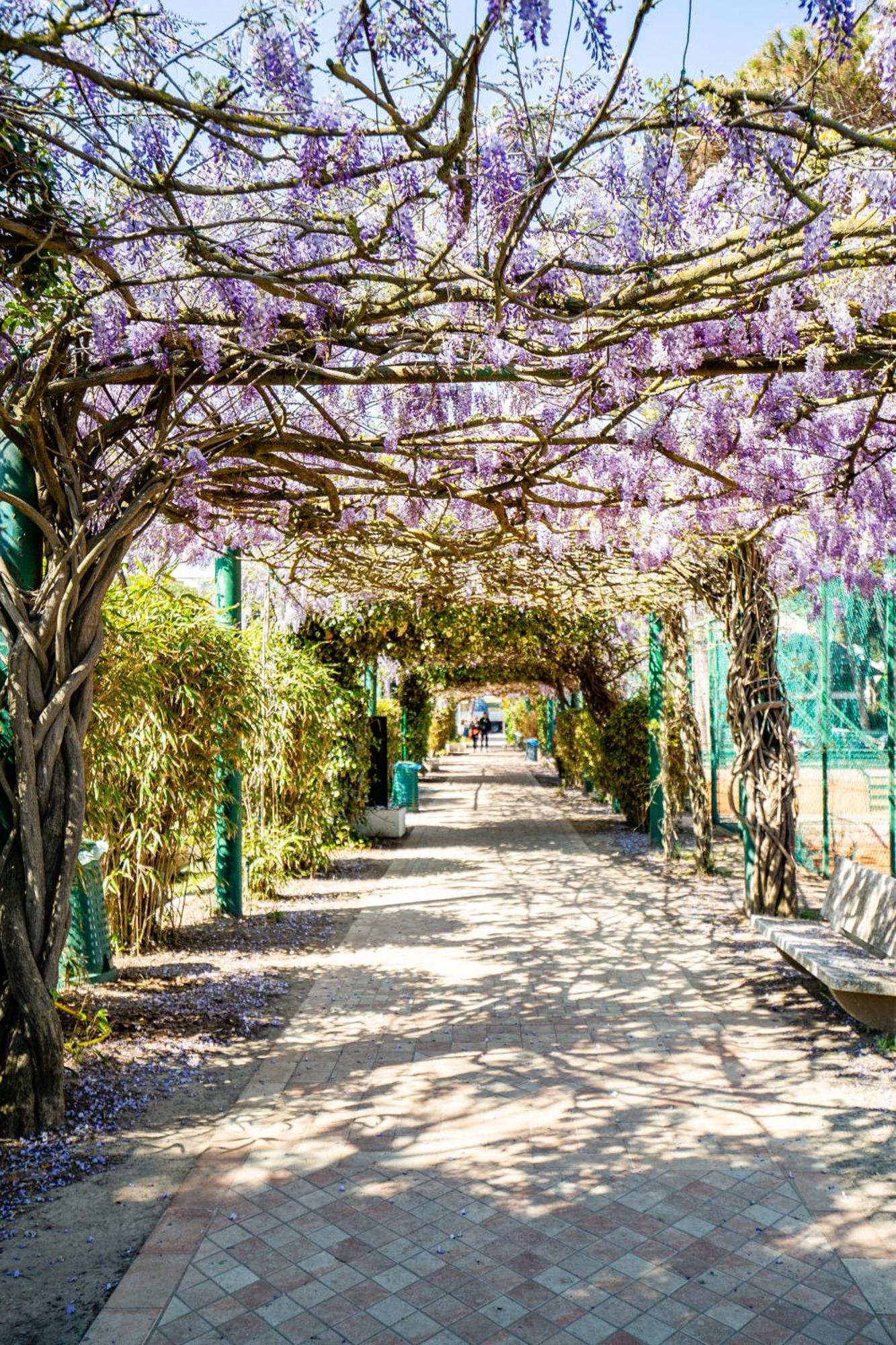 Marepineta Resort Milano Marittima Exterior photo